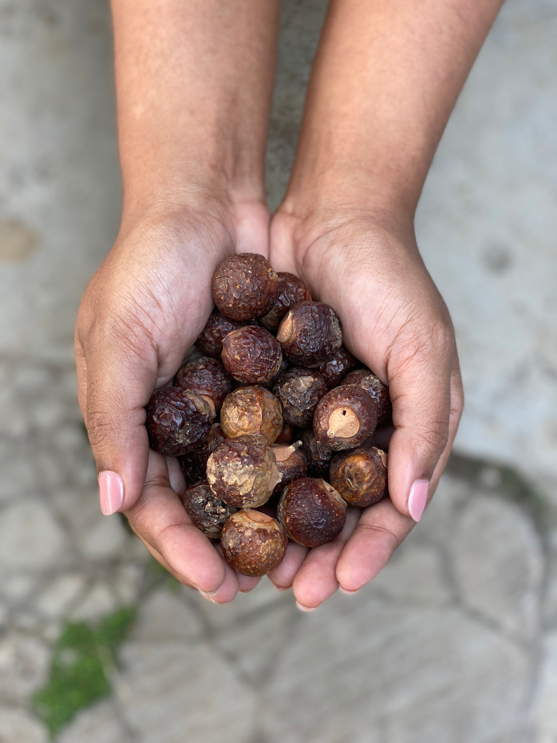 What are Soapnuts?