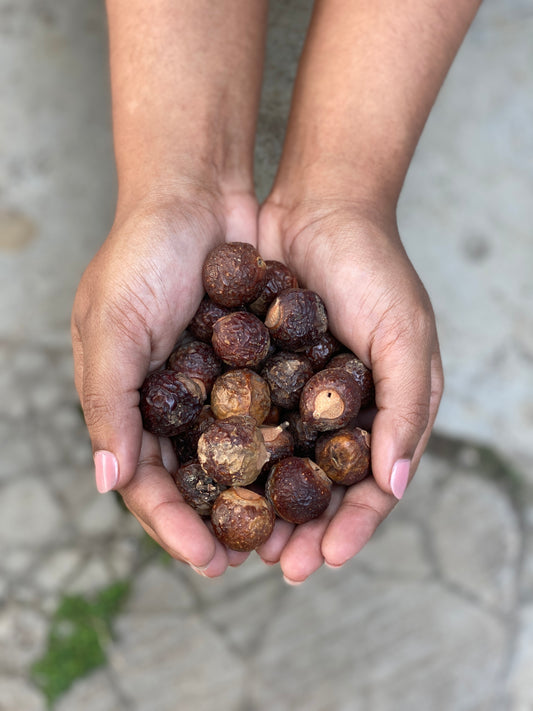 What are Soapnuts?